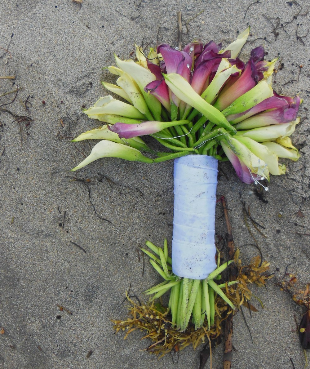 DisneyWonder_3030_edited-1